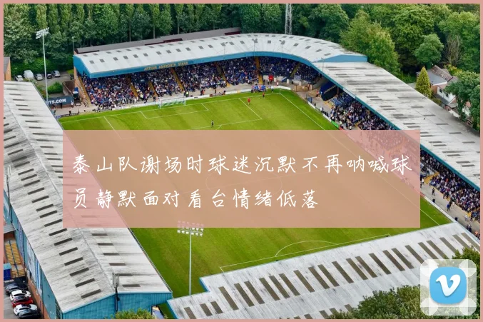 泰山队谢场时球迷沉默不再呐喊球员静默面对看台情绪低落
